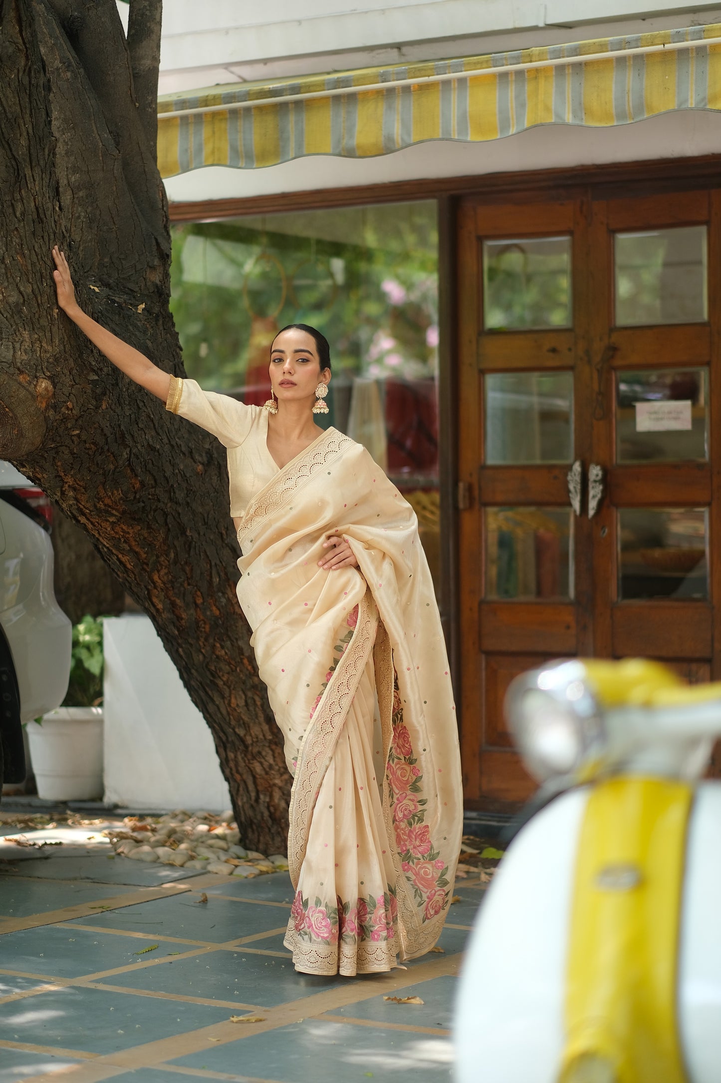 Tissue cutwork saree