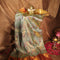 Kanjivaram silk Sage Green Parrot motif Zari Border Saree