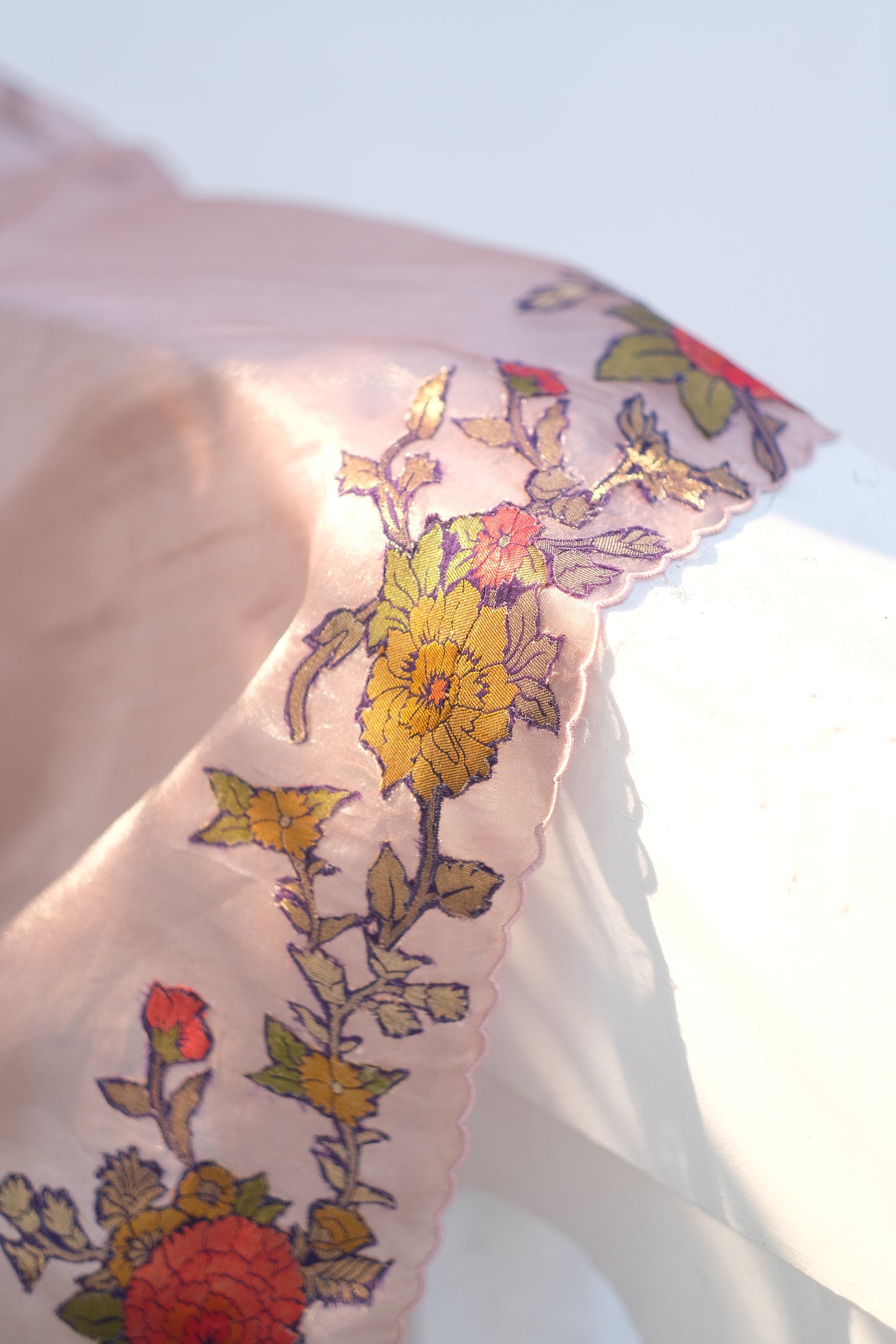 Banarasi organza saree