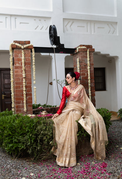 Pichwai Organza
