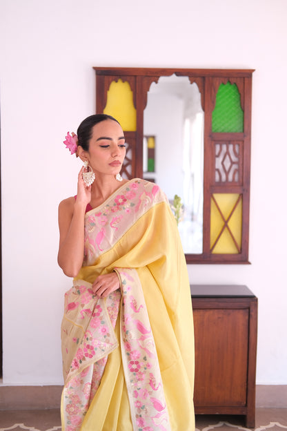 Chiffon flamingo saree