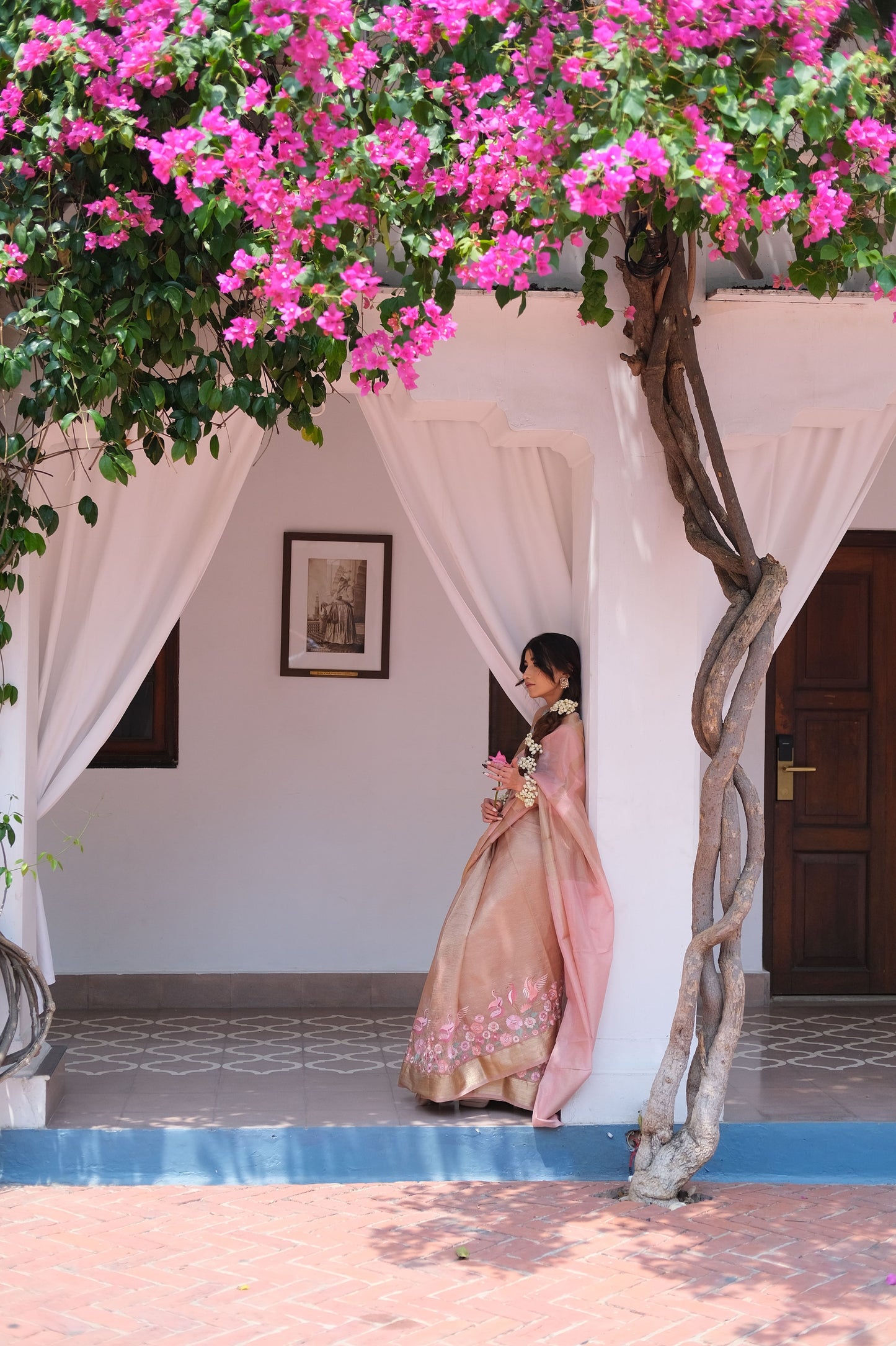 Crushed organza saree