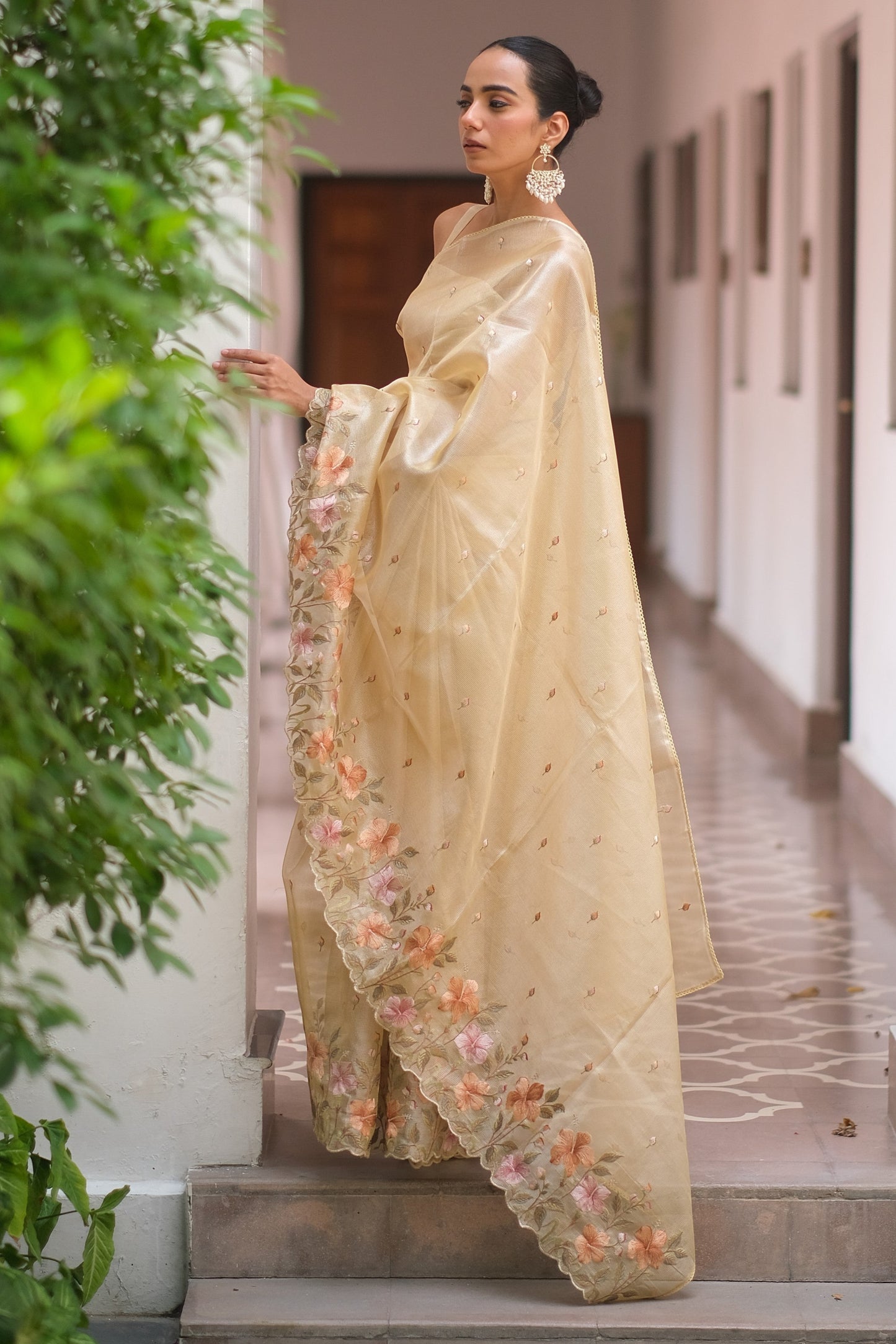 Golden tissue saree