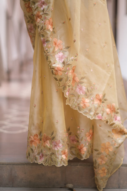 Golden tissue saree
