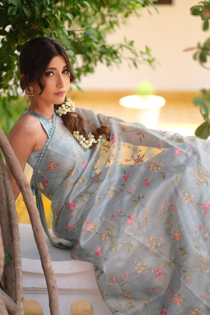 Tissue net saree