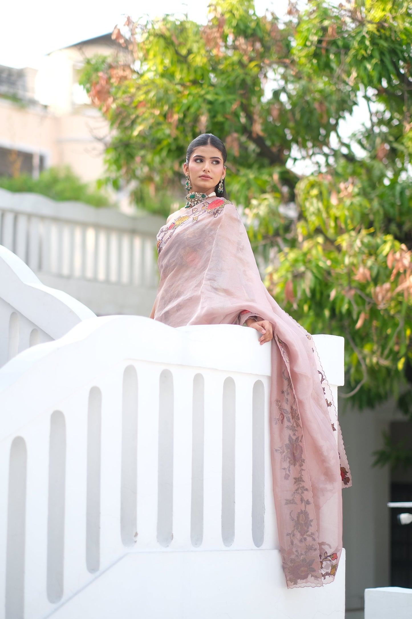 Banarasi organza saree