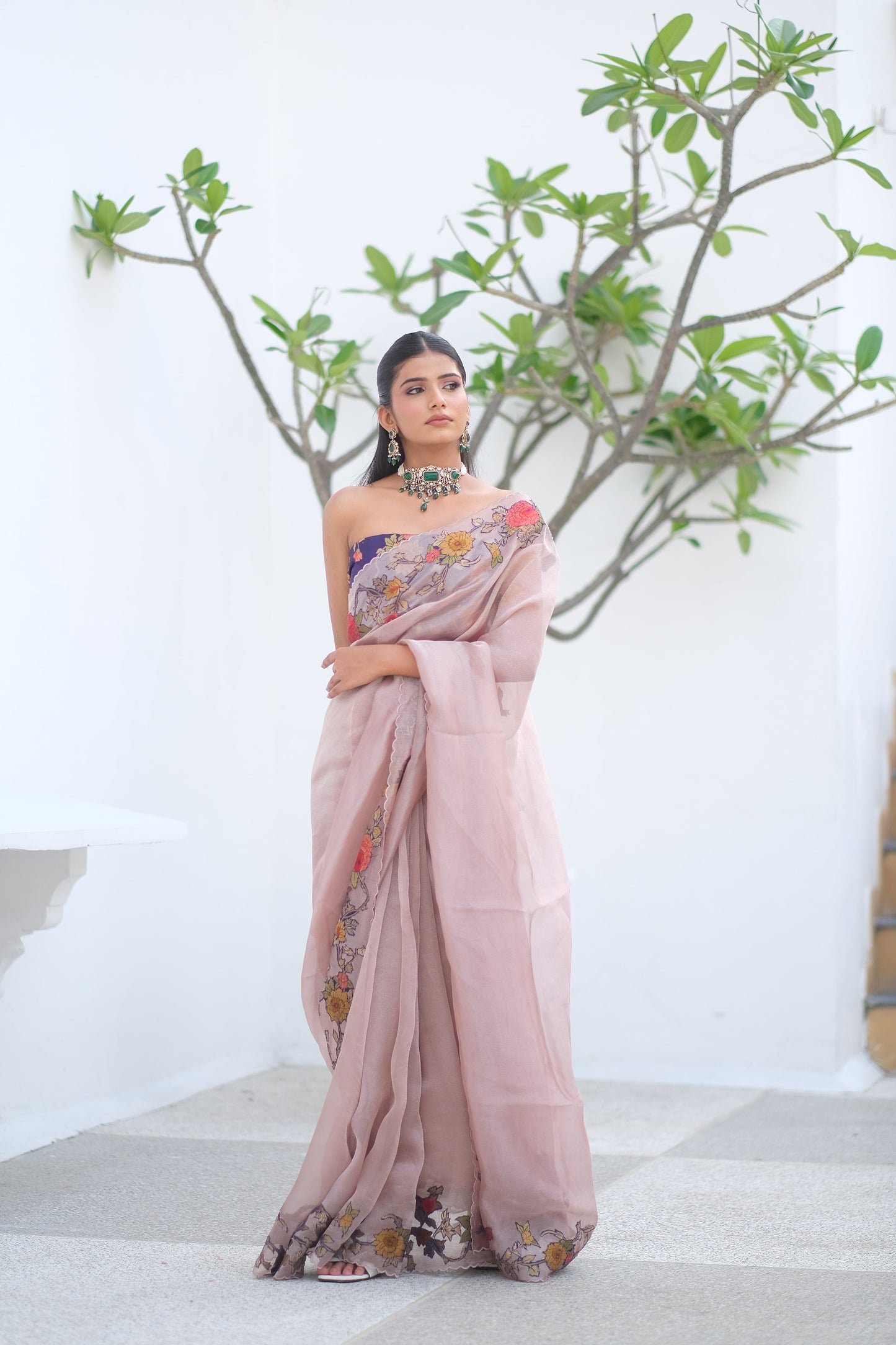 Banarasi organza saree