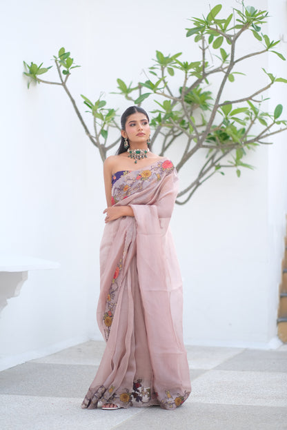 Banarasi organza saree