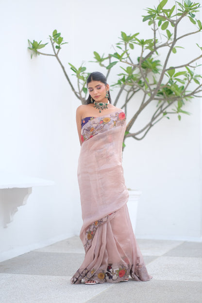 Banarasi organza saree