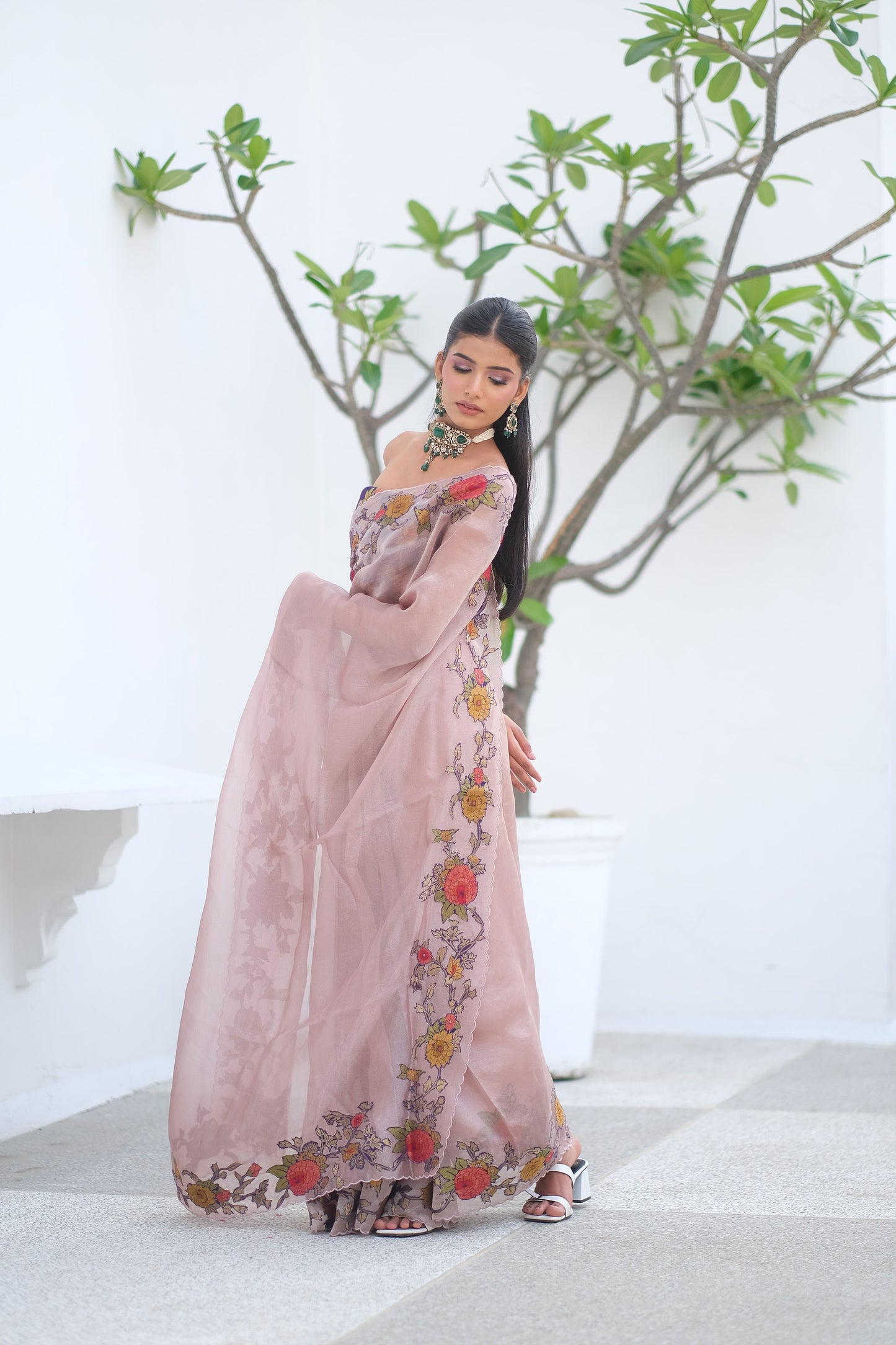 Banarasi organza saree
