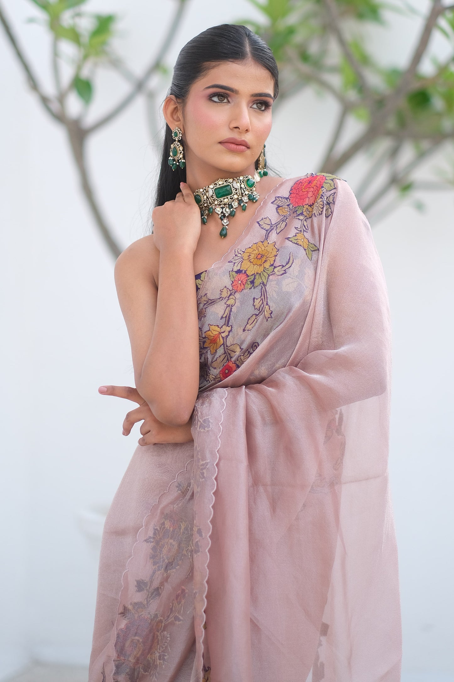 Banarasi organza saree