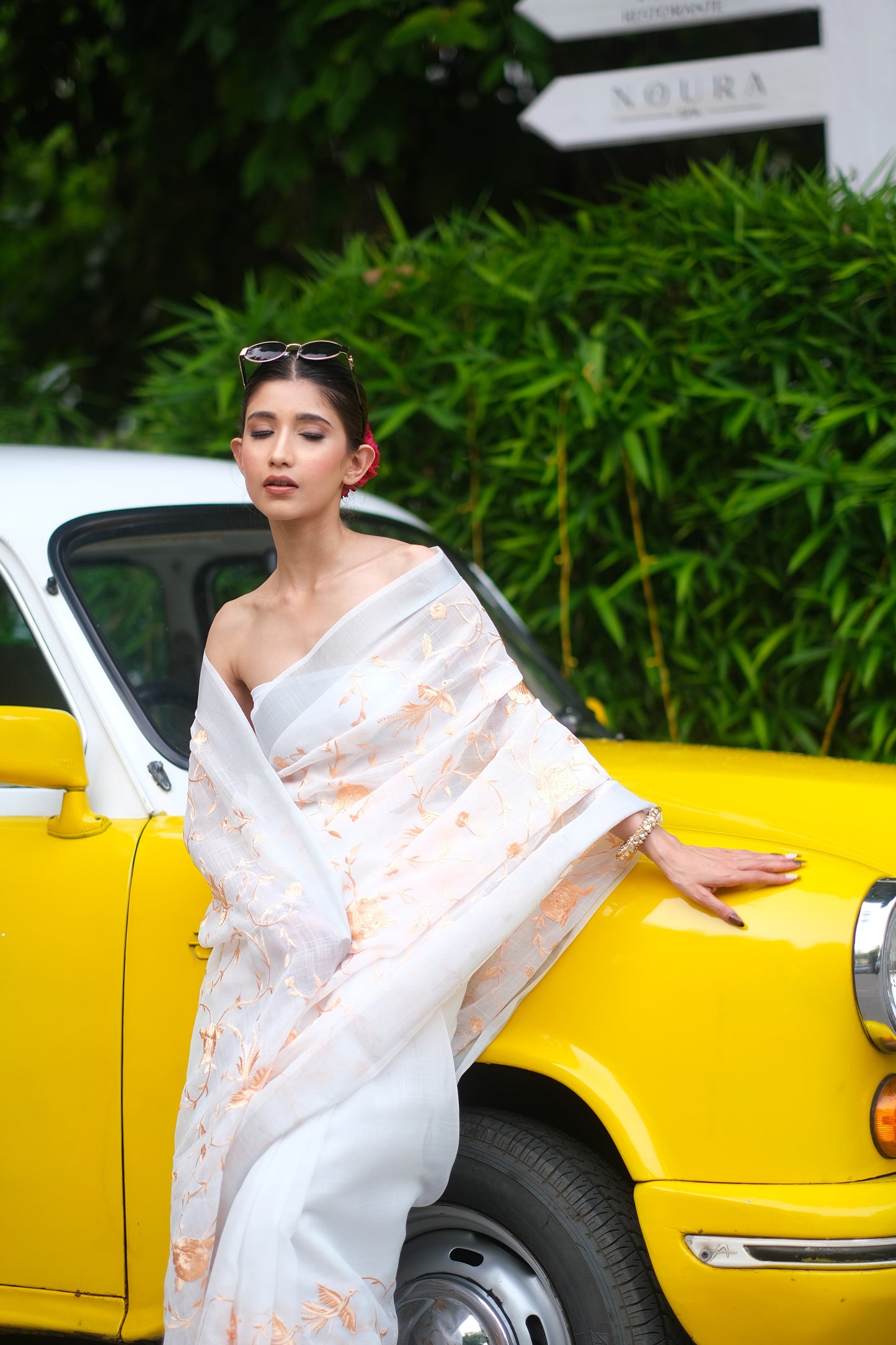 Linen Flamingo saree