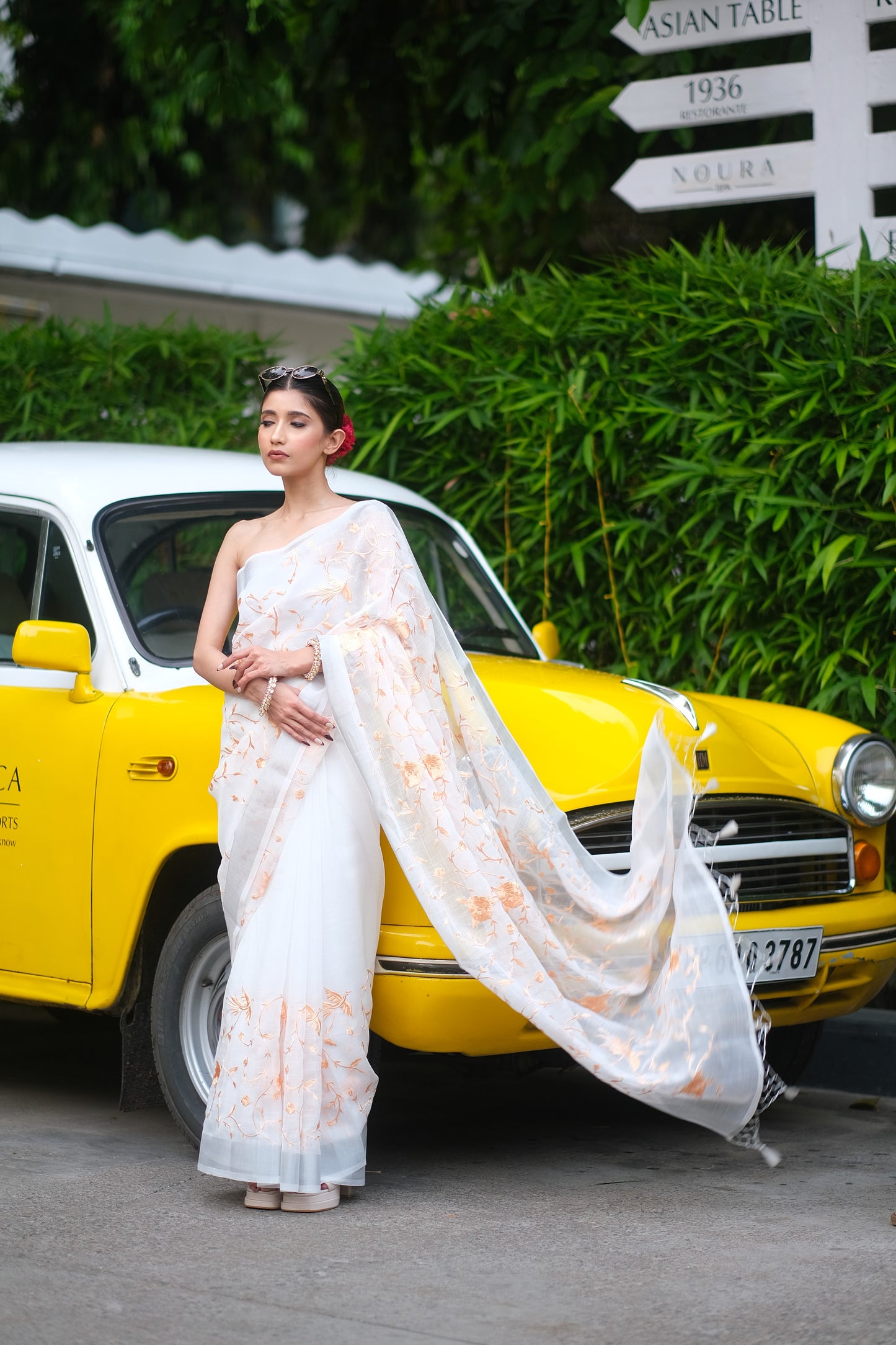 Linen Flamingo saree