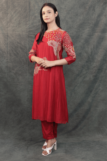 Kantha & mirror embroidered mulchanderi Co-ord set