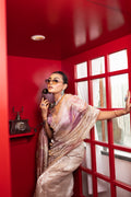 Stardust saree